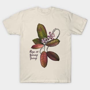 Hoya sp gunung gading in bloom T-Shirt